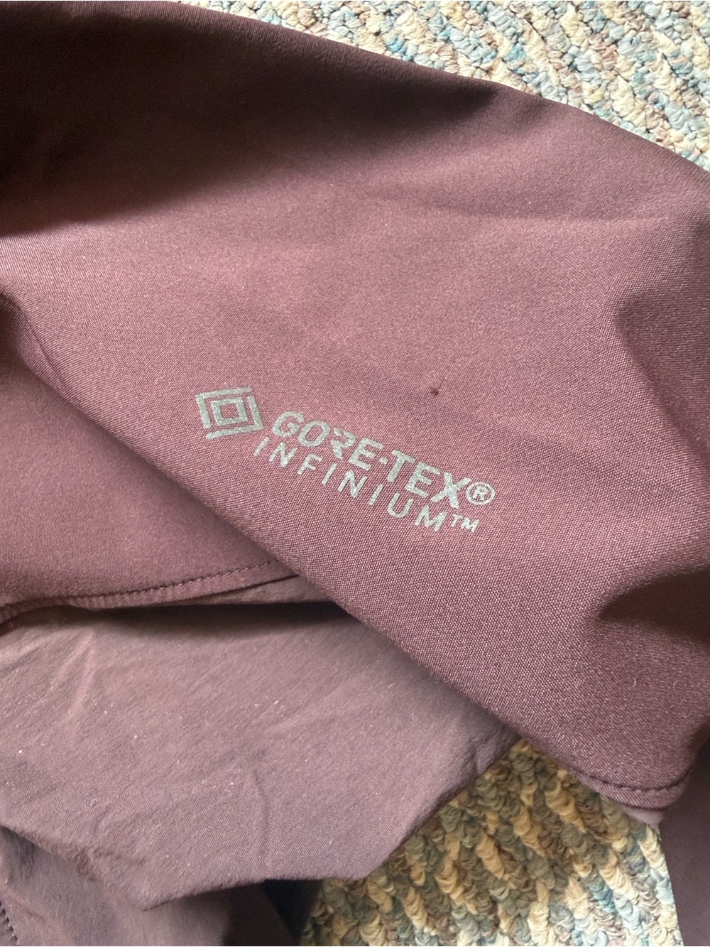 Arcteryx Trino SL Hoody - Picture 3 of 8